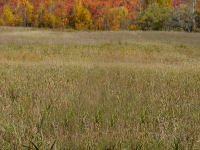 Rochester, Vermont - Plot 2